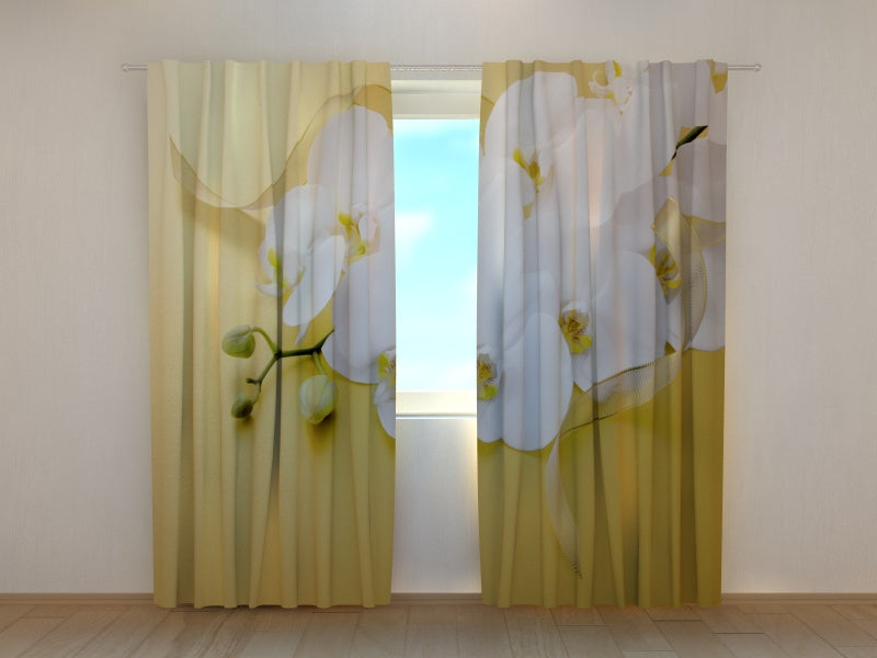 Foto Tende Orchidee su Oro — Foto