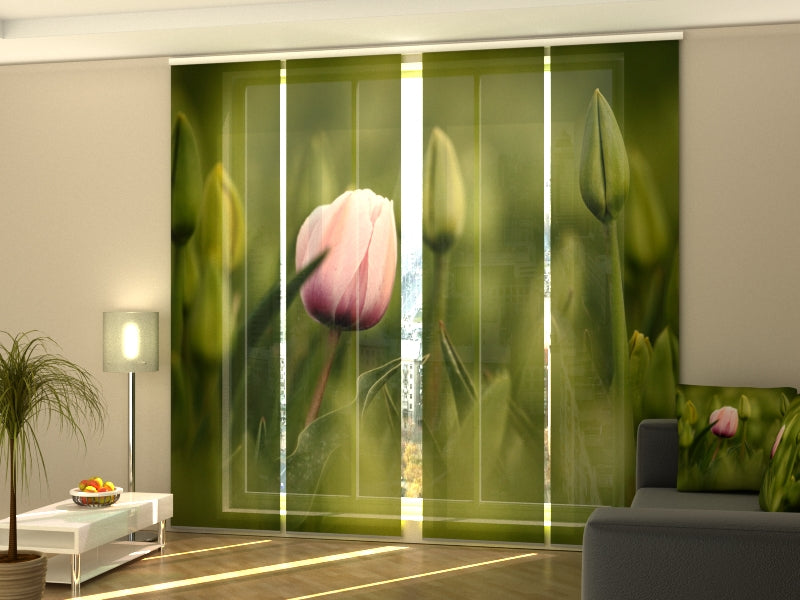 Set di 4 Tende a Pannello Primo Tulipano Rosa — Foto