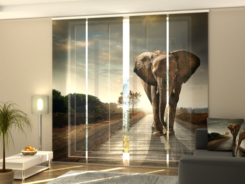 Set di 4 Tende a Pannello Elefante Imperiale — Foto