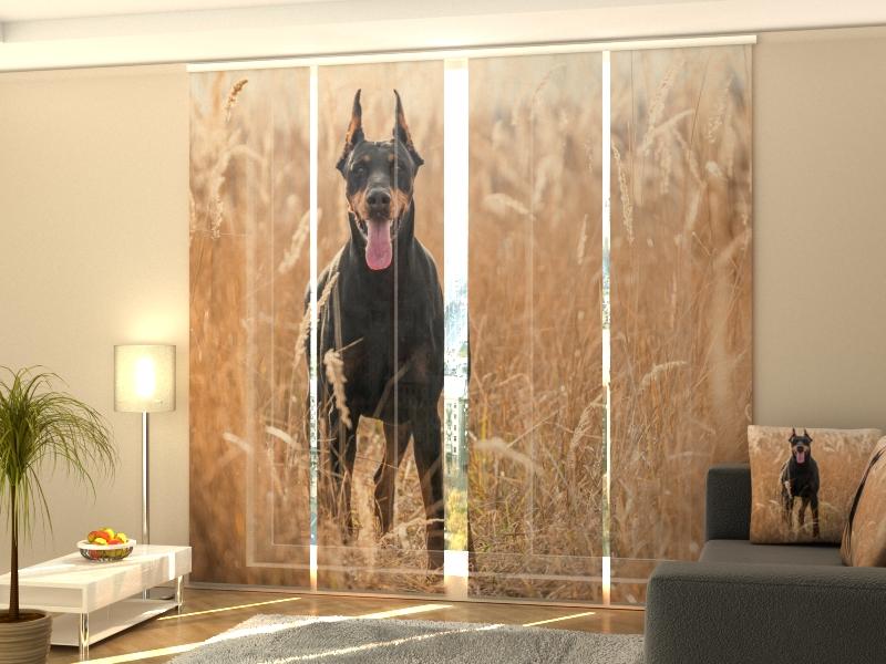 Set di 4 Tende a Pannello Pinscher nell'Erba Dorata — Foto