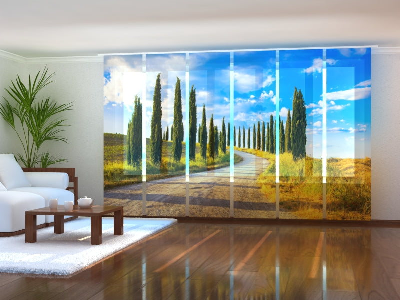 Set di 6 Tende a Pannello Cipressi in Toscana — Foto