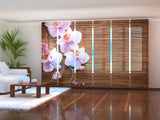 Set di 6 Tende a Pannello Orchidea e Legno — Foto