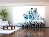 Set di 6 Tende a Pannello Tigre Bianca 2 — Foto