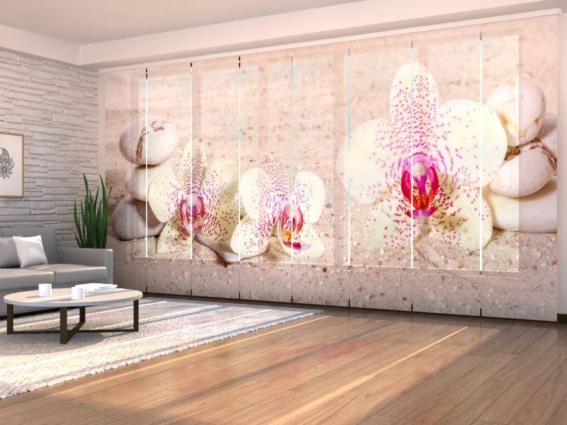 Set di 8 Tende a Pannello Orchidee e Pietre Zen — Foto