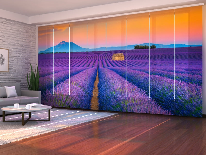 Set di 8 Tende a Pannello Meravigliosi Campi di Lavanda in Provenza — Foto