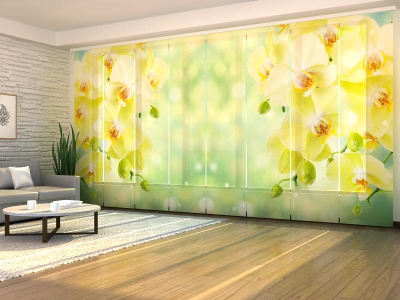Set di 8 Tende a Pannello Bellissime Orchidee di Limone — Foto