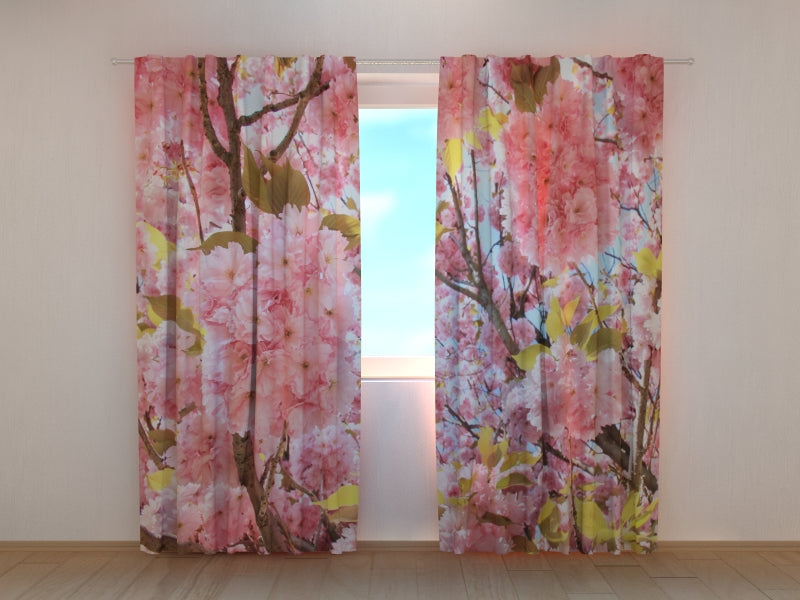 Foto Tende Sakura Rosa — Foto