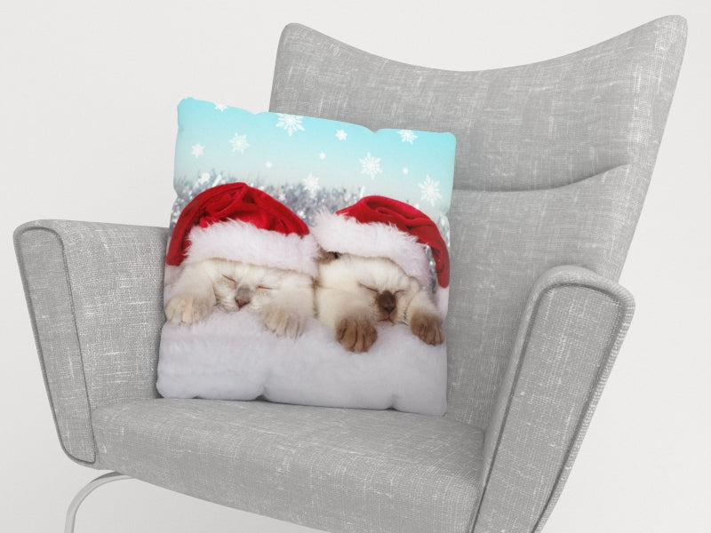 Federe per Cuscini Gattini di Natale — Foto