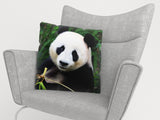 Federe per Cuscini Panda — Foto