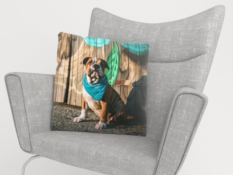 Federe per Cuscini Cucciolo di Bulldog Inglese Elegante — Foto
