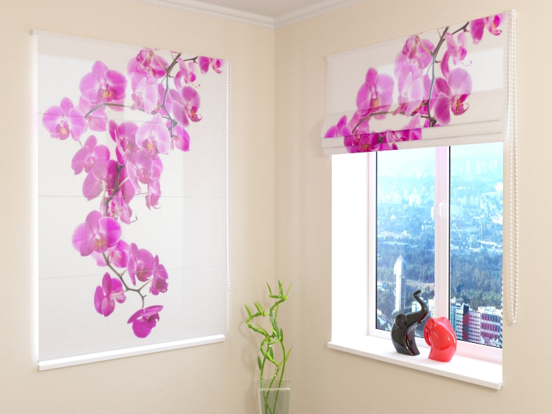Tende a Pacchetto Orchidea Rosa Perfetta