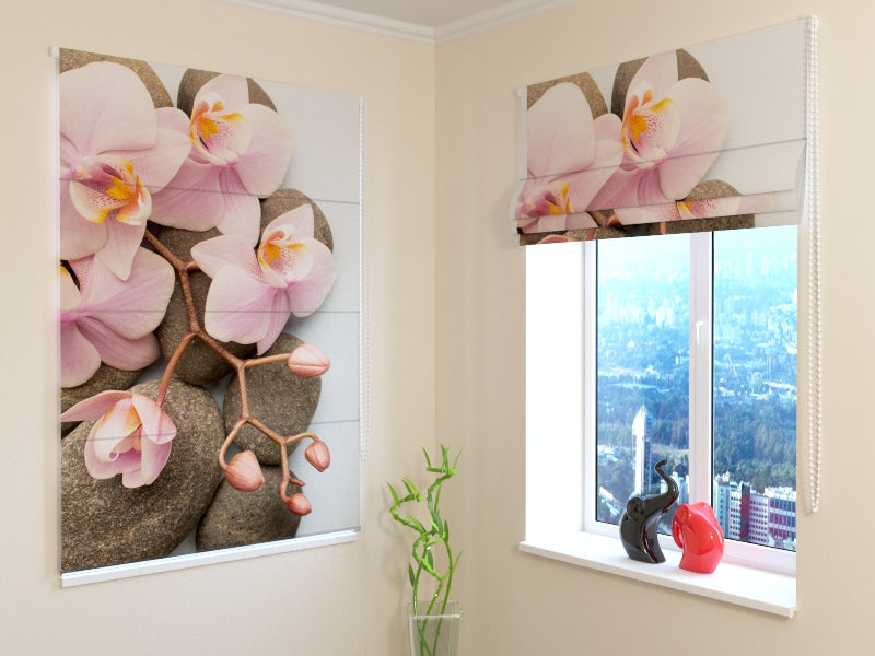 Tende a Pacchetto Orchidea di Vienna 2 — Foto