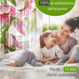 Foto Tende Bellissime Orchidee di Limone — Foto