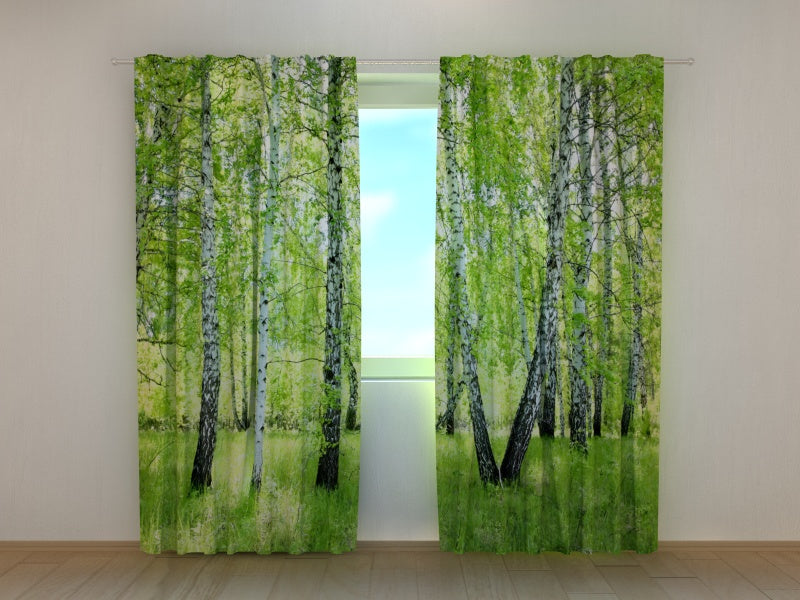 Foto Tende Foresta di Betulle d'Estate — Foto