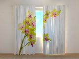 Foto Tende Orchidea Solare 2 — Foto