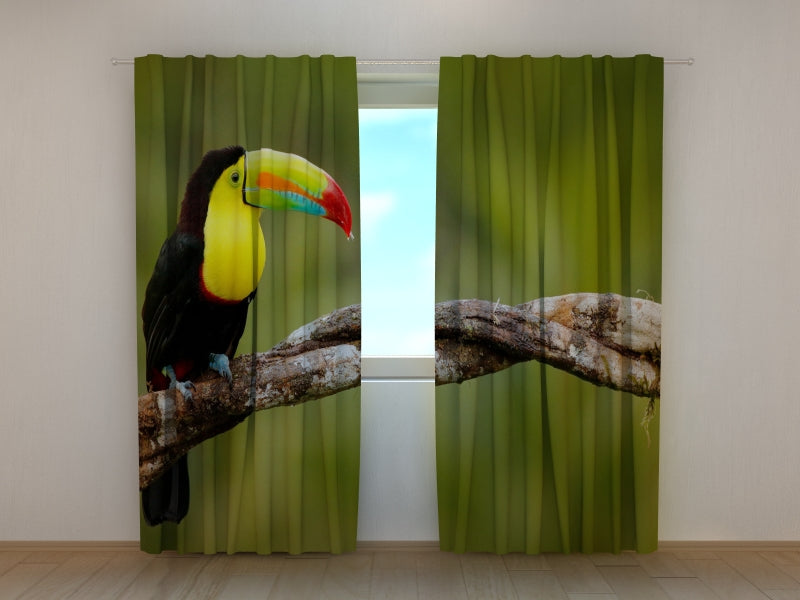 Foto Tende Tucano sul Ramo — Foto