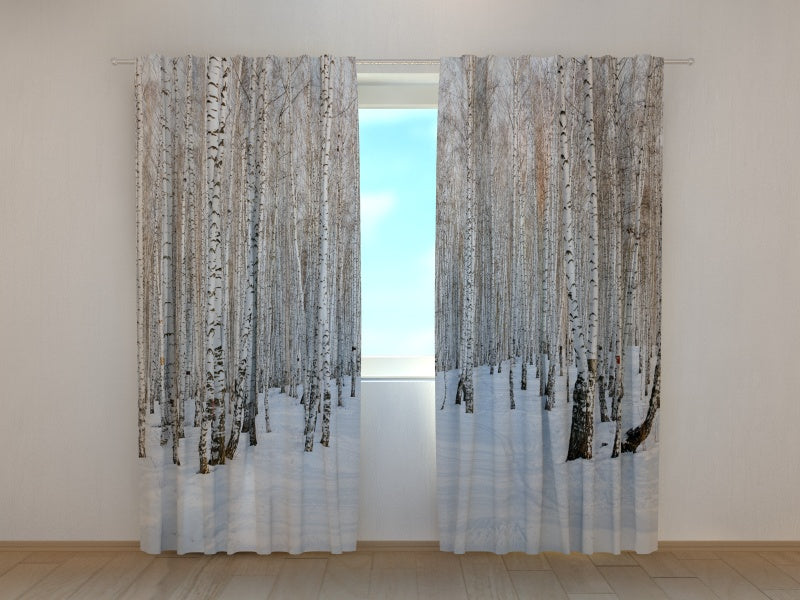 Foto Tende Foresta di Betulle in Inverno — Foto