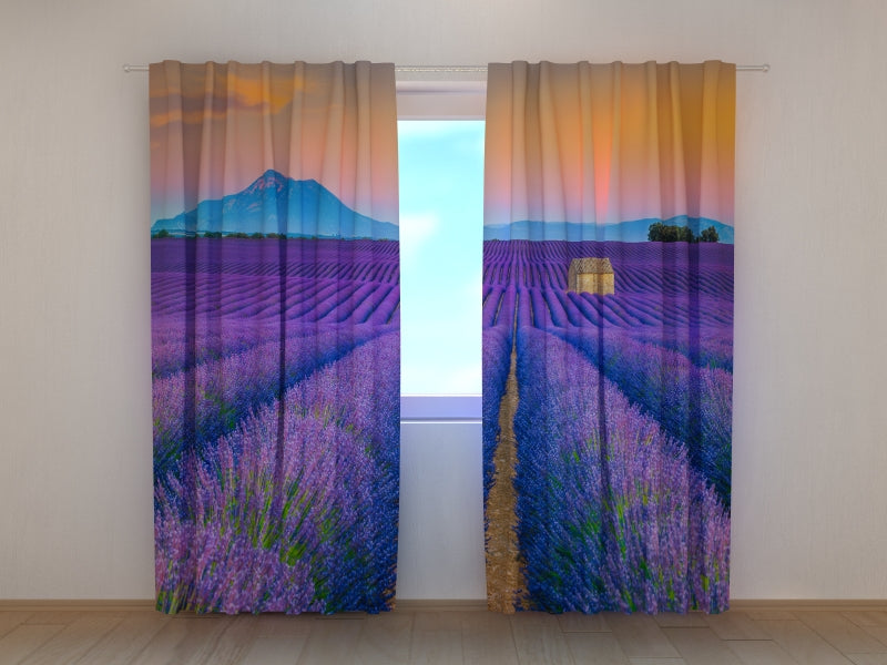 Foto Tende Meravigliosi Campi di Lavanda in Provenza — Foto