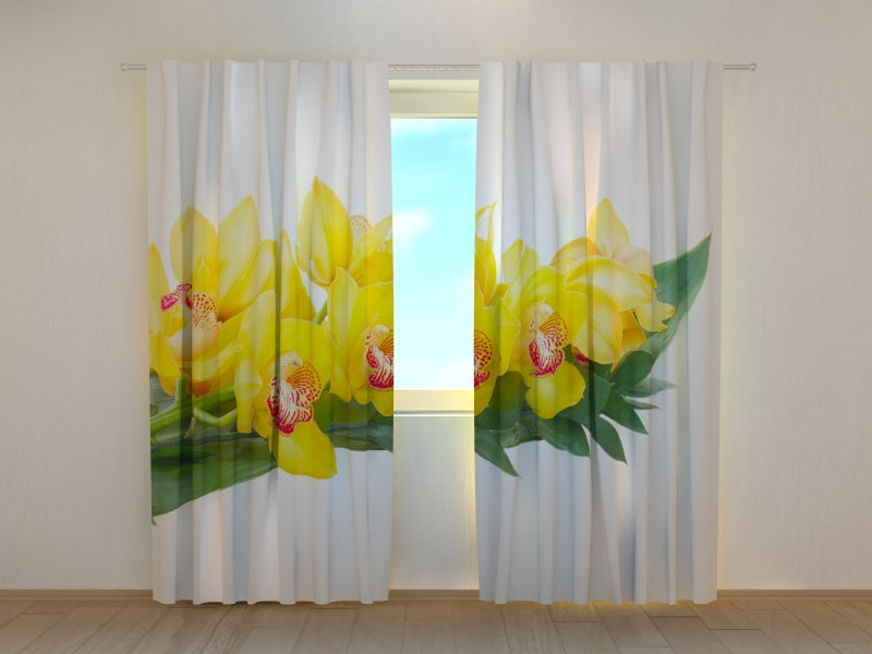 Foto Tende Orchidee Gialle — Foto